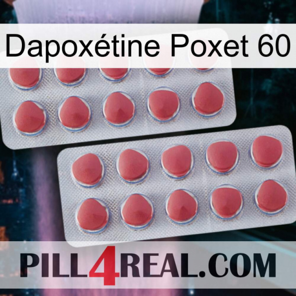 Dapoxétine Poxet 60 19